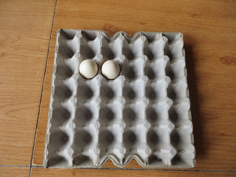 Egg Tray Produced by Beston Egg Tray Maker