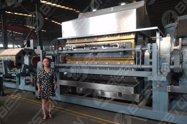 Beston Egg Tray Making Machine